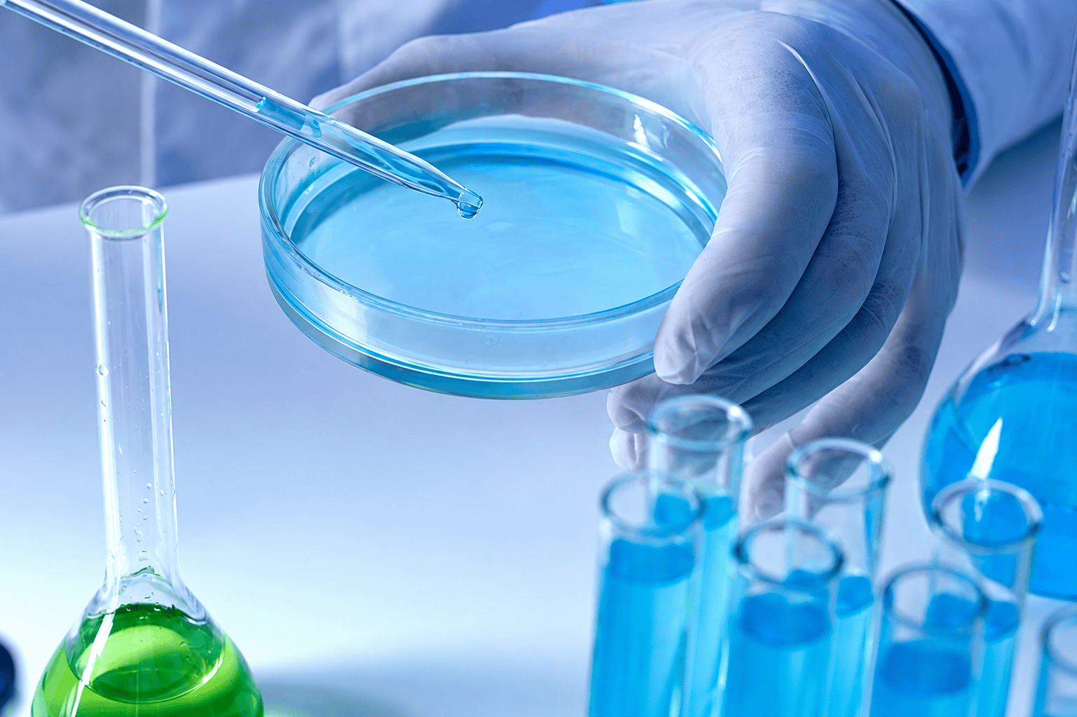 Laboratory researcher using a pipette over a petri dish with test tubes